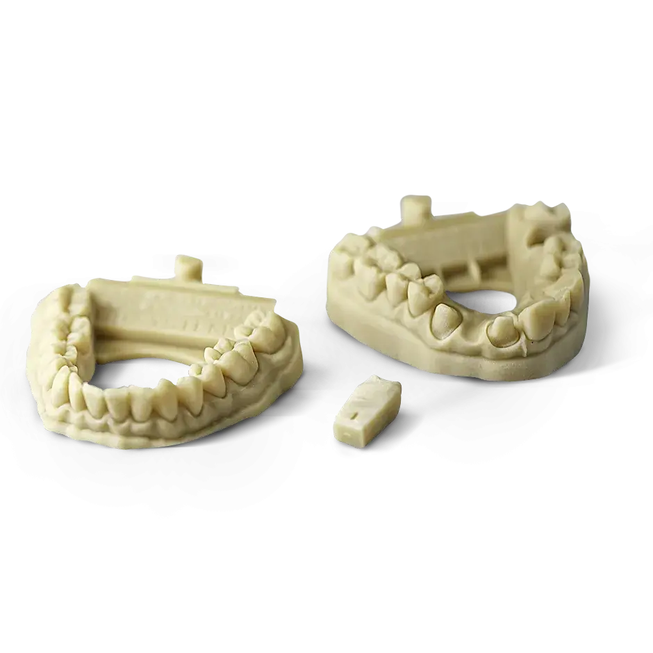 3D Systems VisiJet M2R-TN Dental Model