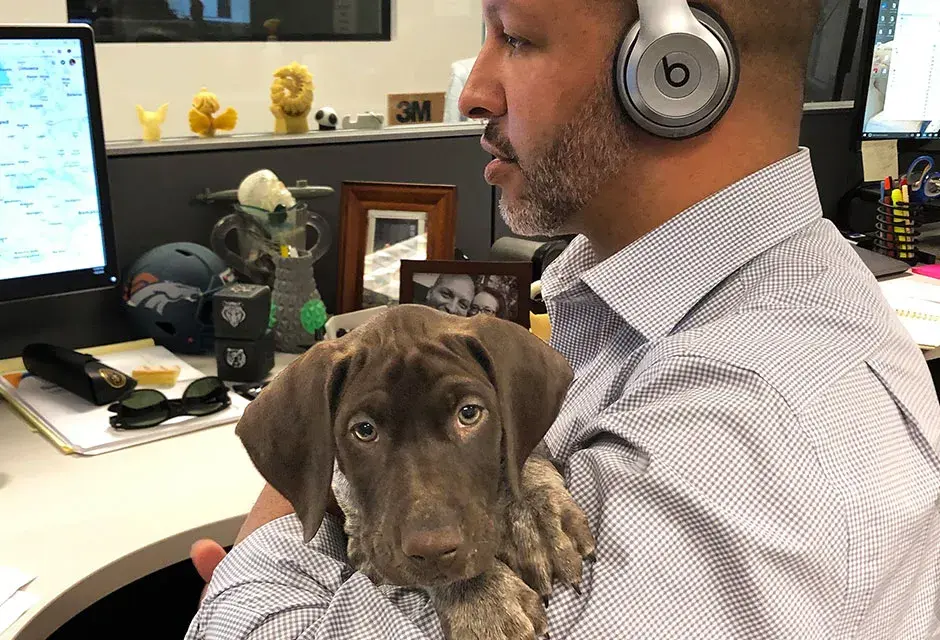 3D Systems Life - Puppy Skipper