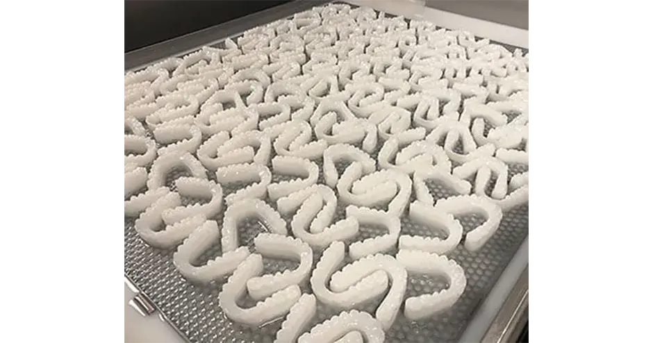 Bac de moules dentaires imprimés en 3D