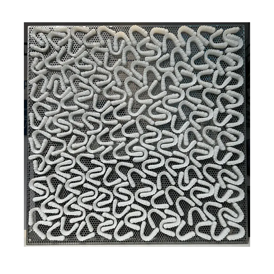 A tray of dentures made from Accura Ortho White